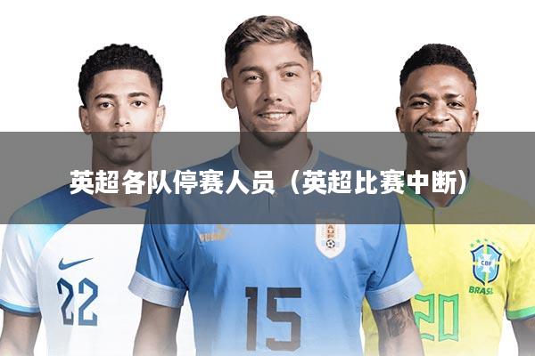 英超各队停赛人员（英超比赛中断）